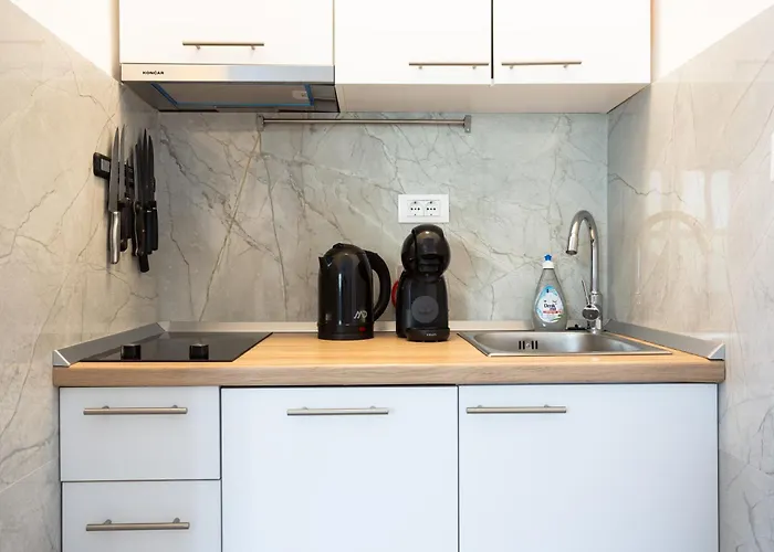 Orsan 公寓 杜布罗夫尼克