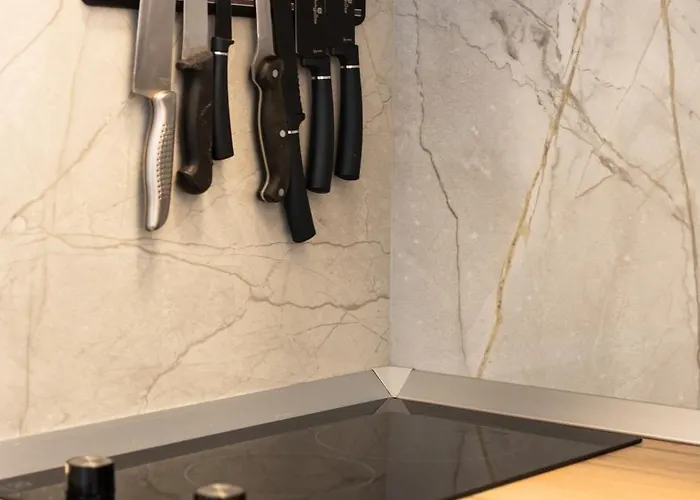 Orsan 公寓 杜布罗夫尼克